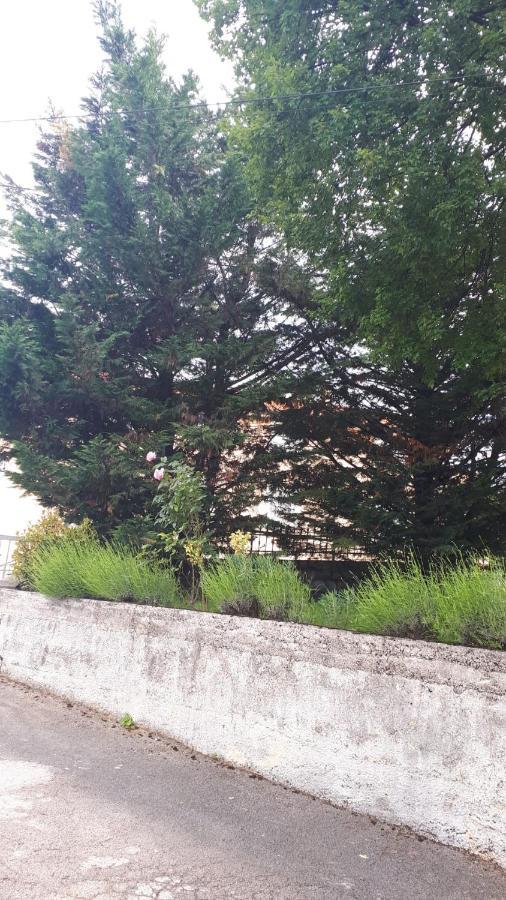 Apartman Rosemary 里耶卡 外观 照片